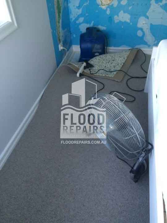 Stony-Creek carpet and wall damages before cleaning and repairing 