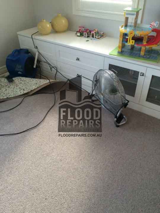 Henley carpet cleaning flood repairs job 