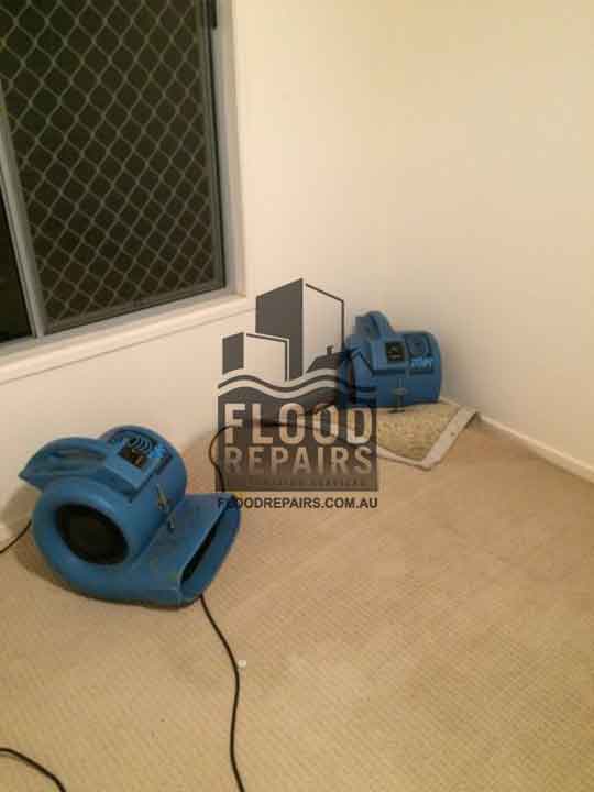Box-Hill cleaning carpets with flood repairs equipments 