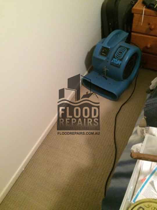 Newtown flood job equipment clean carpet 