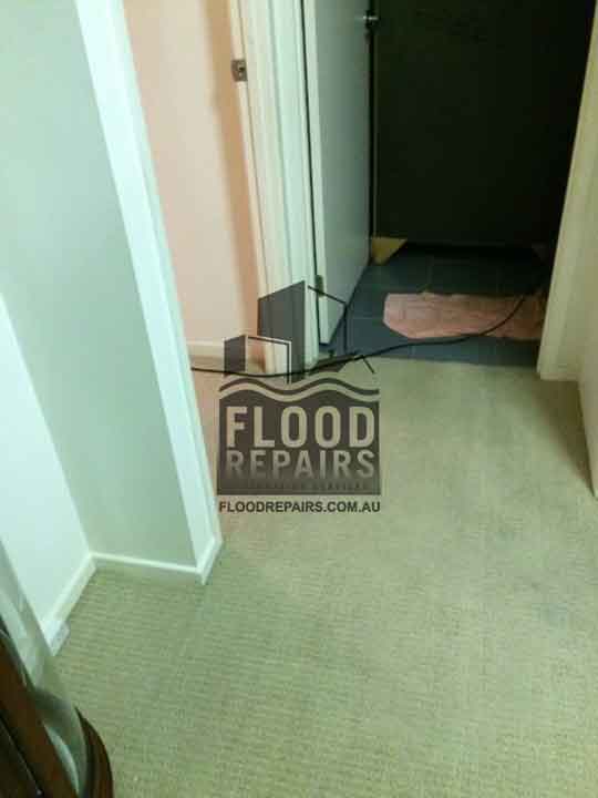 Coomera flood repairs job cleaned carpet 