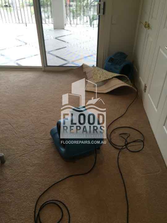 Coomera flood repairs machine for carpet cleaning 