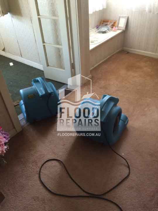 Para-Hills wet carpet before using flood repairs equipment 
