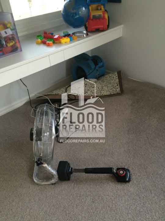 wet carpet before Flood Restoration & Repairs drying and cleaning job